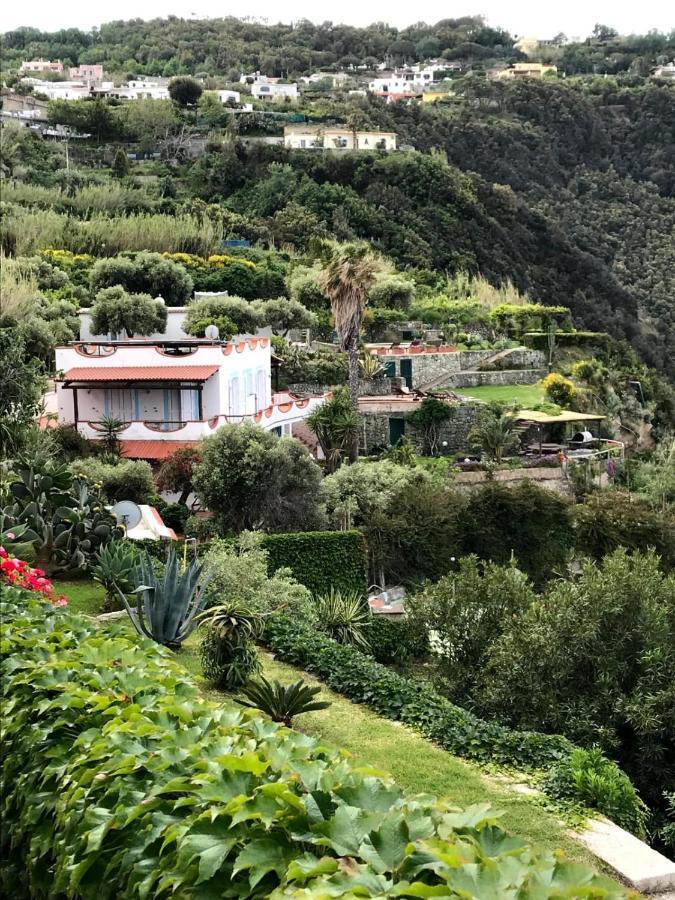 Villa La Dimora Di Zoe Forio  Exterior photo